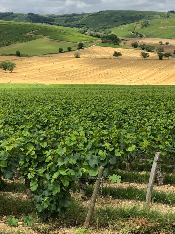 Sancerre Sunflower - Tournesol De サンセール エクステリア 写真
